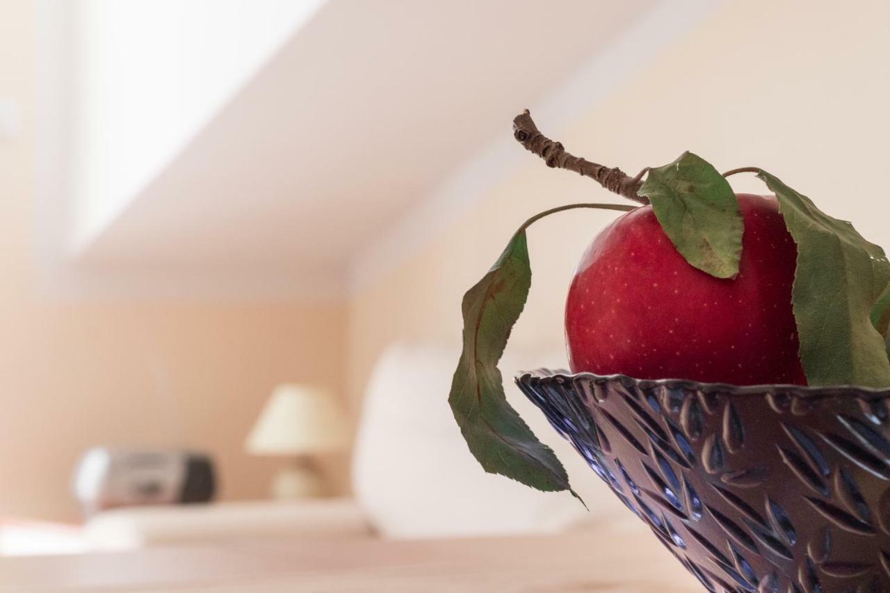 Apartman Nena Turanj Exteriér fotografie